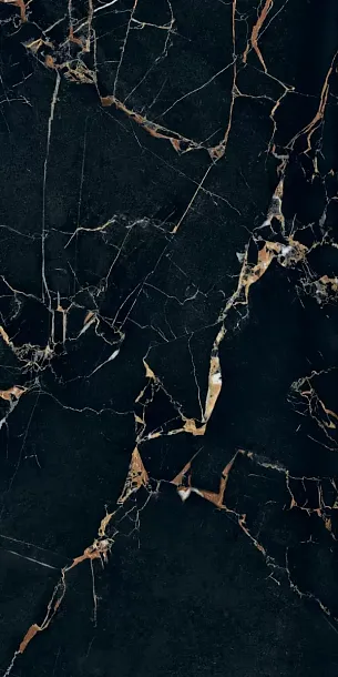 Фото Керамогранит Sensi Signoria Port Gold Nat 60X120 (PF60009171) Италия