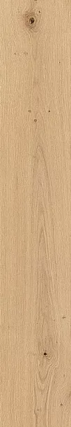 Фото Керамогранит Sichenia 196041 Parkett Linz Satin Rett 20x120 Италия