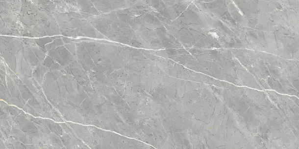 Фото Керамогранит Ennface ENSTN8003LM60120 Marcasite Glossy 60x120 Индия