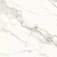 Фото Керамогранит ZERDE TILE Carrara white 60x60