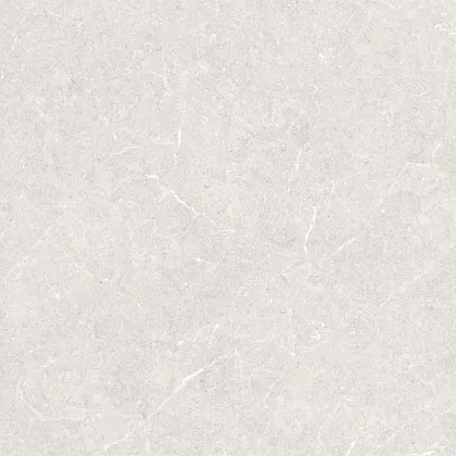 Фото Керамогранит Argenta Bergstein Light Matt Rect 60x60 Испания