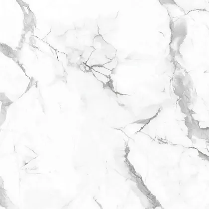 Фото Керамогранит Callacata Endless Mat 60x60 (NTT995160M) Индия