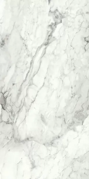 Фото Керамогранит Imola Ceramica BRECAP6 12 RM 60x120 Италия
