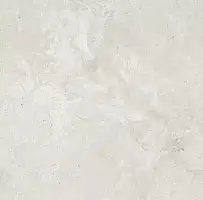 Фото Керамогранит Dako E-5000/MR Legend Серо-бежевый ректификат 600x600x9