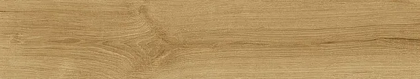 Фото Керамогранит Dune 189005 Quercus Miele 22x120 Испания