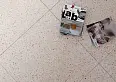 Керамогранит Dako E-5007/MR Season Cветло-бежевый ректификат 600x600x9
