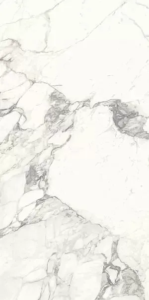 Фото Керамогранит Ariostea P612513 Arabescato Classico Soft 60x120 Италия