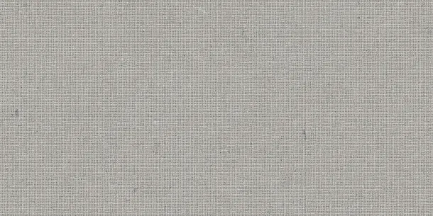 Фото Декор Tau Ceramica DC. Calcare Silver 60x120 Испания