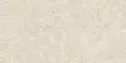 Керамогранит Laparet LP6012G0211R Ardesia Beige бежевый матовый 59,5х119,1