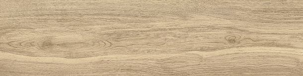 Фото Керамогранит Tanzania Beige матовый 151x602 (GP1560TAN11) Россия