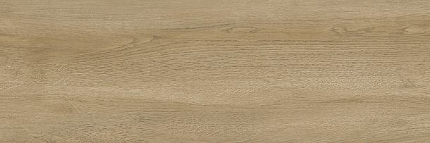 Фото Плитка Woodstyle Oak 300x900x10,5 (WT93WOS21) Беларусь