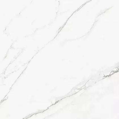 Фото Керамогранит Callacata Silver Rect матовая 60x60 Узбекистан