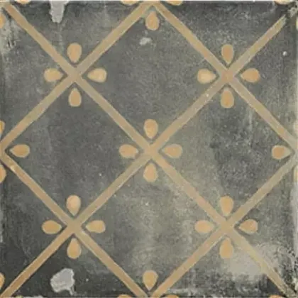 Фото Керамогранит PT03077 Scudo Canaletto Nero 20x20 Испания