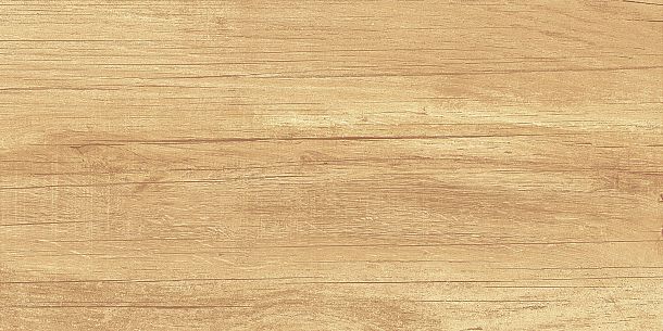 Фото Плитка Paradise Wood 250x500x9 (WT9OAS31) Россия