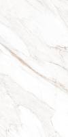 Фото Керамогранит Calacatta Gold Polished 60x120 (MPL-058631)