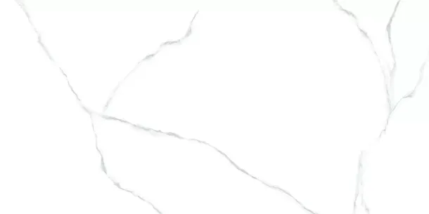 Фото Керамогранит 60120AMR00P Atlantic Marble 60x120 Индия