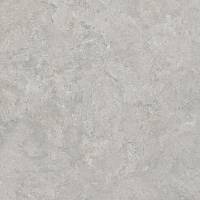 Фото Керамогранит RC Shell LG 60х60 (8162)