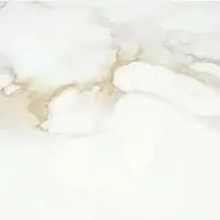 Фото Керамогранит P.E. Pul. Camile gold rect. 120x120