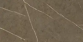 Фото Керамогранит Stone Brown 3D Ink-Soft Glaze 60x120 (BHM-5009)