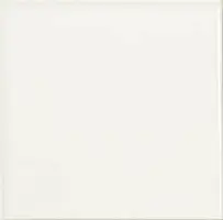 Фото Керамическая Плитка Absolut Keramika Liso Brillo Blanco 20x20