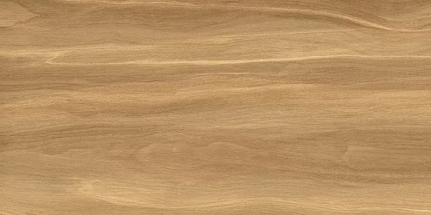 Фото Плитка WT9POT21 Portland Dark 249*500*7.5 Россия