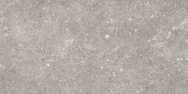 Фото Керамогранит Pamesa 096.022.0002.00206 Dover Gris MT Rect 60x120 Испания
