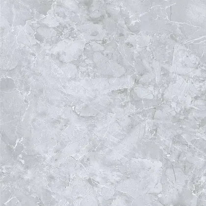 Фото Керамогранит Dako E-3019/MR Genio Серый ректификат 600x600x9 Россия