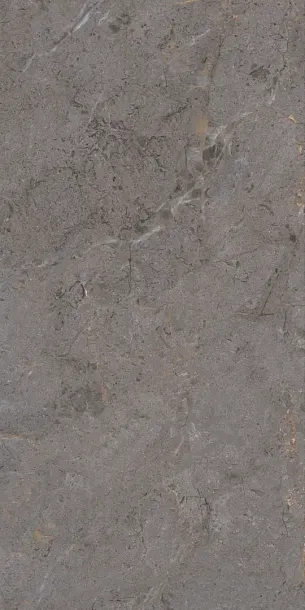 Фото Керамогранит Protiles PT12P7057 Verona Pol 1200х600х9 Узбекистан