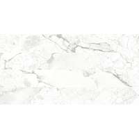 Фото Керамогранит Breccia Bianco Rock 60х120