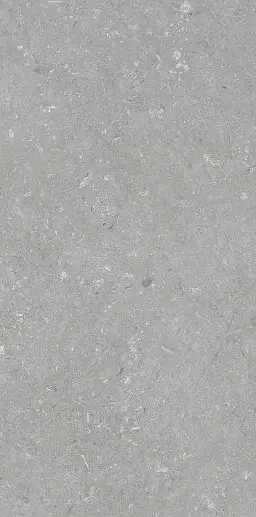 Фото Керамогранит Dado Ceramica 005485 Shellstone Grigio 60x120 Италия