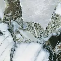 Фото Керамогранит K951839LPR CityMarble Амазония Мультиколор 7ЛПР R9 60X60