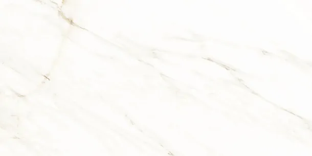 Фото Керамогранит Tau Ceramica Lucca White Bru 60x120 Испания