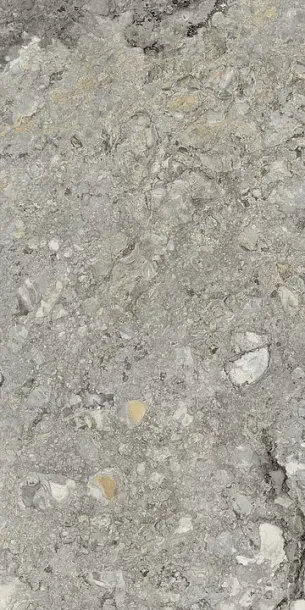 Фото Керамогранит Imola Ceramica GREINV6 12 RM 60x120 Италия