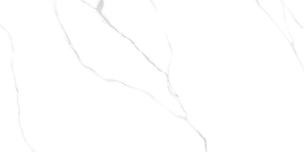 Фото Керамогранит Atlantic Marble полированный 600x1200 (60120AMR00P) Индия