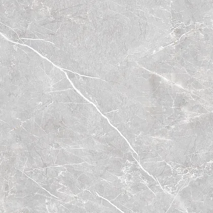 Фото Керамогранит Laparet Lp6060G0071R Lune Grigio Серый Матовый Карвинг 59,5Х59,5 Россия