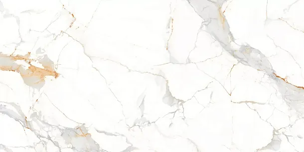 Керамогранит Аletta Glossy 60x120 (M4406P) для гостиной, для кухни, для ванной, для туалета, для спальни, для прихожей, на теплый пол Фото Керамогранит Аletta Glossy 60x120 (M4406P) Китай