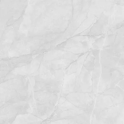 Фото Керамогранит Laparet LP6060G0241R Berna Silver светло-серый матовый 59,5х59,5 Россия