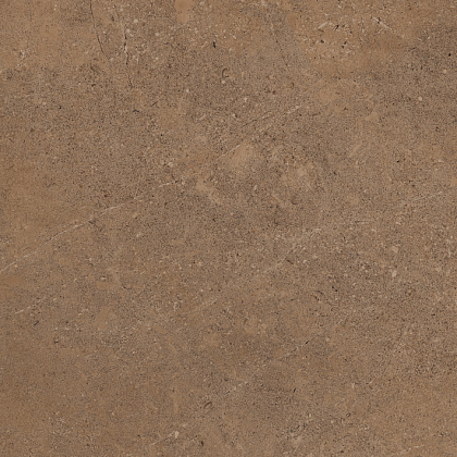 Фото Керамогранит GO02 Gobi Dark Beige неполированный 60x60 Россия
