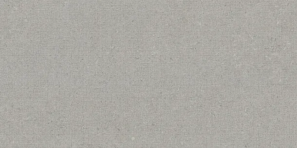Фото Декор Tau Ceramica DC. Calcare Silver 60x120 Испания