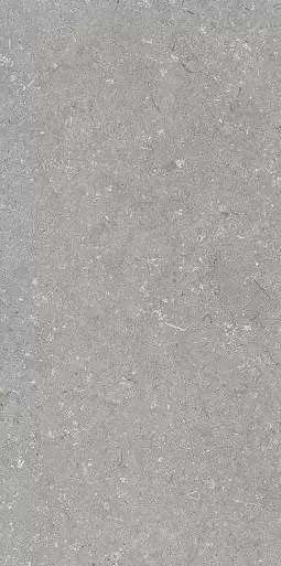 Фото Керамогранит Dado Ceramica 005485 Shellstone Grigio 60x120 Италия
