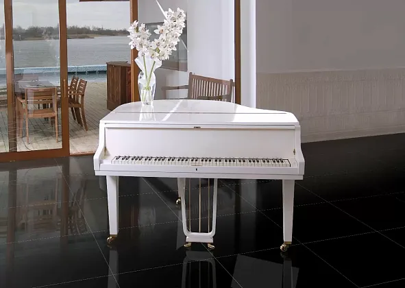 Фото Керамогранит Porcelanicos HDC Bas Negro 59 Brillo Rect 59x59 Испания