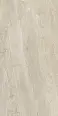 Керамогранит Century 144807 Cristalia Metrix Natural Evolution Rect 60x120