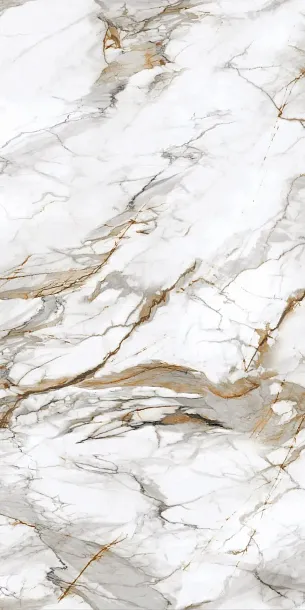 Фото Керамогранит Protiles PT12P7081 Royal Marble Полированная 1200х600х9 Узбекистан
