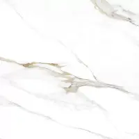 Фото Керамогранит Aurora Gold Leviglass 60x60