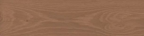 Фото Керамогранит Kerama Marazzi Аргания коричневый матовый 9,9x40,2x0,8 (KM1040G0031N) Россия