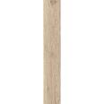 Керамогранит Sweden Honey 20x120
