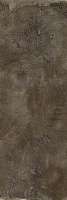 Керамогранит Ultra Metal Brown Zinc 300x100 soft (UMT6S310500) Фото Керамогранит Ultra Metal Brown Zinc 300x100 soft (UMT6S310500)