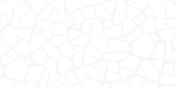 Фото Плитка WT9SML00 Smalta White 249x500 Россия