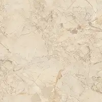 Керамогранит Ivory Endless Mat 60x60 (NTT995150M) Индия Фото Керамогранит Ivory Endless Mat 60x60 (NTT995150M)