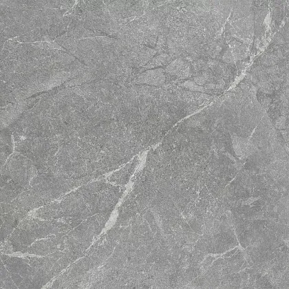Фото Керамогранит Laparet Rocky Grey Pro Серый Матовый R10Gr Str 80Х80 Индия